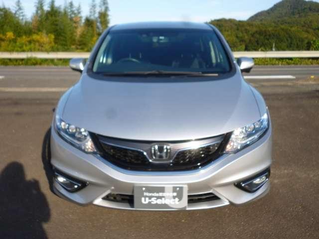 ハイブリッドX(2枚目)