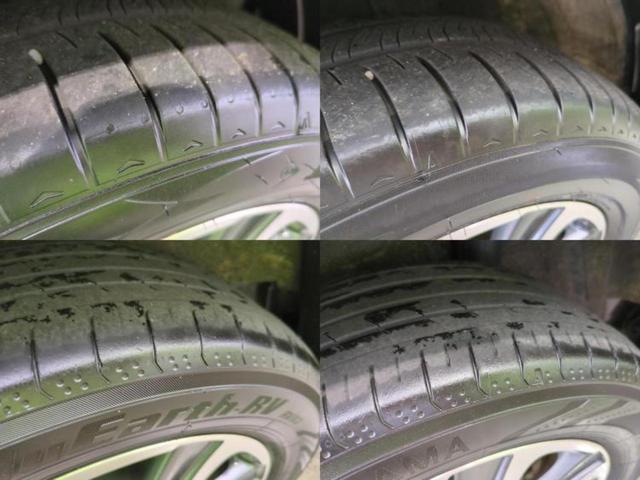 �u���̎Ԃ̎ʐ^�������ƌ������v�u��Ԃ��C�ɂȂ�v�u���̑����͂��Ă���H�v�ǂ�ȏ����ȋ^��ł����C�y�ɂ��₢���킹���������I