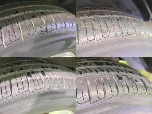 �u���̎Ԃ̎ʐ^�������ƌ������v�u��Ԃ��C�ɂȂ�v�u���̑����͂��Ă���H�v�ǂ�ȏ����ȋ^��ł����C�y�ɂ��₢���킹���������I