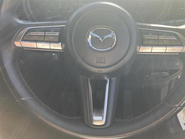 ＣＸ－３０ ２０Ｓプロアクティブ　新品タイヤ／保証書／ディスプレイオーディオ／衝突安全装置／３６０°ビューモニター／車線逸脱防止支援システム／パーキングアシスト　バックガイド／電動バックドア／ドライブレコーダー　前後　ワンオーナー（14枚目）