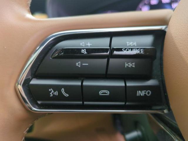 ＣＸ－６０ ４ＷＤ　ＸＤハイブリッドプレミアムスポーツ　新品タイヤ／サンルーフ／ＢＯＳＥ／保証書／純正　ＳＤナビ／衝突安全装置／エアーシート　前席／全方位モニター／車線逸脱防止支援システム／シート　フルレザー／電動バックドア／ドライブレコーダー　前後（31枚目）