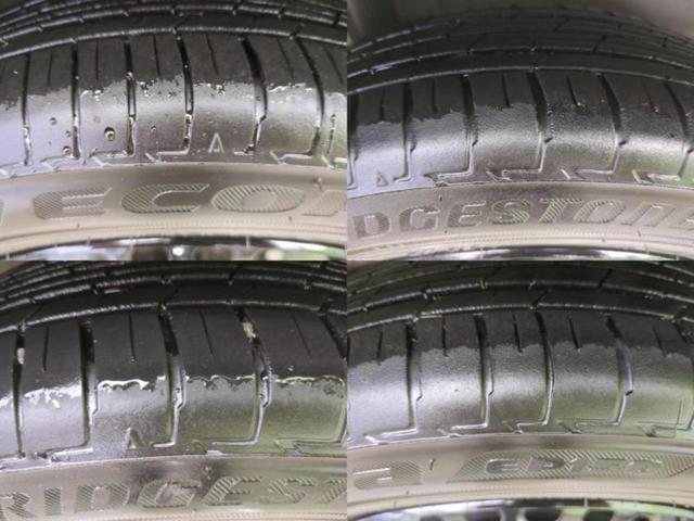 �u���̎Ԃ̎ʐ^�������ƌ������v�u��Ԃ��C�ɂȂ�v�u���̑����͂��Ă���H�v�ǂ�ȏ����ȋ^��ł����C�y�ɂ��₢���킹���������I