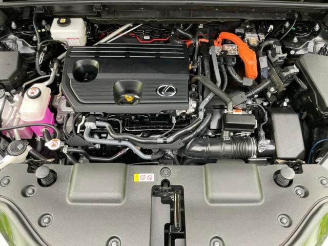 �S���ɓX�܂�W�J���Ă���̂łǂ��ł������񂹂��\�ł��I���̎Ԃ��C�ɂȂ邯�ǉ���������E�E�E�ƒ��߂�K�v�͂���܂���I���ʓr������K�v�ł��B