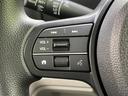 ヒョウジュン　純正　９インチ　メモリーナビ／ホンダセンシング／電動スライドドア／シートヒーター　前席／車線逸脱防止支援システム／登録済未使用車／ヘッドランプ　ＬＥＤ／ＵＳＢジャック／Ｂｌｕｅｔｏｏｔｈ接続　禁煙車（30枚目）