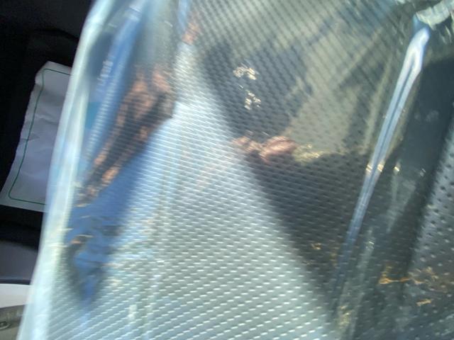 ���ÎԂ͂P��P����x���Ⴄ���߁A�ʐ^�����ł͂킩��Ȃ����������X����܂��B�@���Ђ��A���E�����X�������B