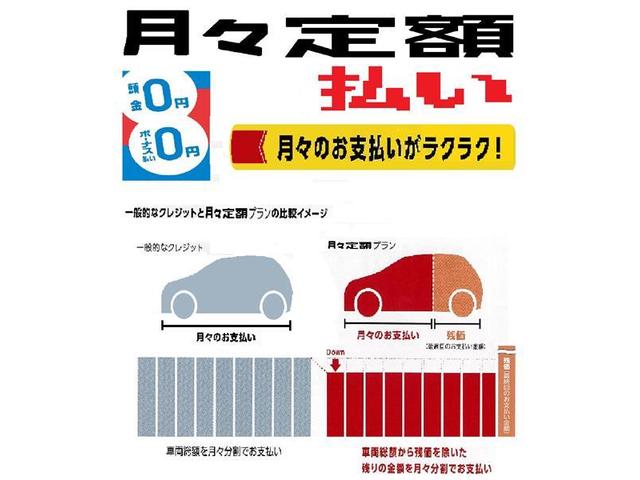 ZS 煌 衝突被害軽減ブレーキ T-Connectナビ CD(39枚目)