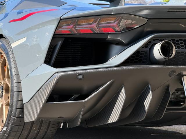 アヴェンタドール ＳＶＪロードスター　アドペルソナム　レイリオンブロンズカラー鍛造２０／２１インチホイール　オレンジキャリパー　ポリカーボネートエンジンカバー　ブラックサススプリング　サスペンションリフター　マットカーボンミラーハウジング（46枚目）