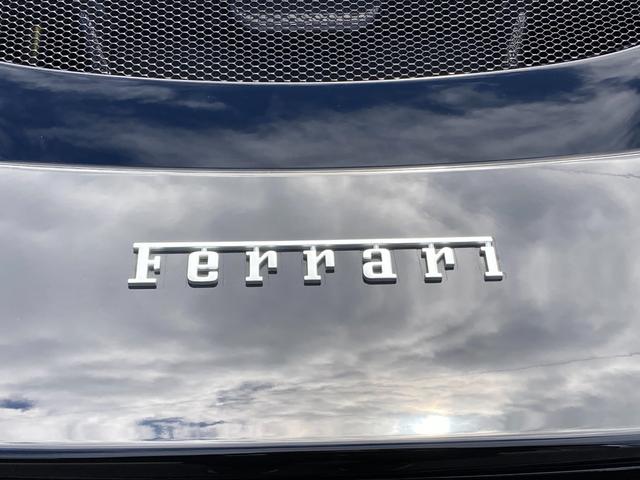 296GTB 社外外装プロテクションフィルム(20枚目)