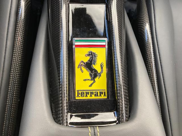 296GTB 社外外装プロテクションフィルム(39枚目)