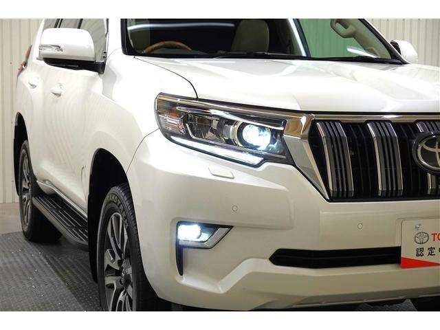 ランドクルーザープラド TX Lパッケージ 革シート サンルーフ 4WD フルセグ メモリーナビ DVD再生 バックカメラ 衝突被害軽減システム ETC LEDヘッドランプ 記録簿(38枚目)