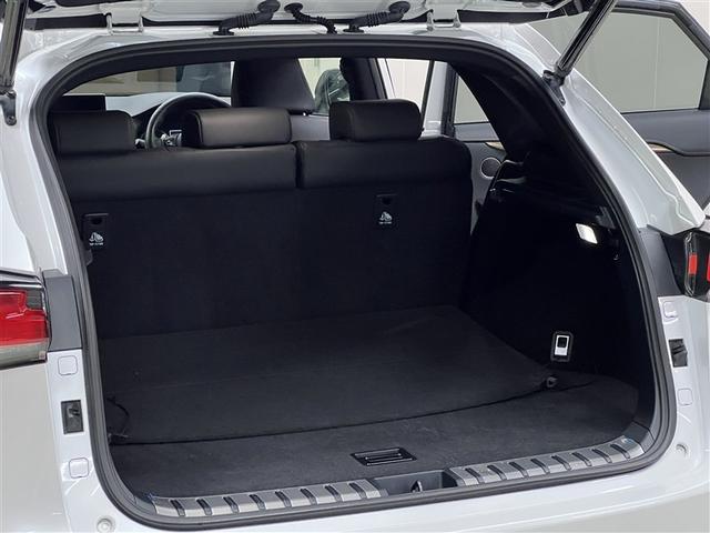 NX NX300h スパイス&シック ドライブレコーダー パノラミックビューモニター ブラインドスポットモニター バックモニター ETC ワンオーナー スマートキ- イモビライザー クルーズコントロール 本革シート 純正アルミホイール(15枚目)