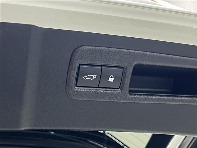 NX NX300h スパイス&シック ドライブレコーダー パノラミックビューモニター ブラインドスポットモニター バックモニター ETC ワンオーナー スマートキ- イモビライザー クルーズコントロール 本革シート 純正アルミホイール(16枚目)