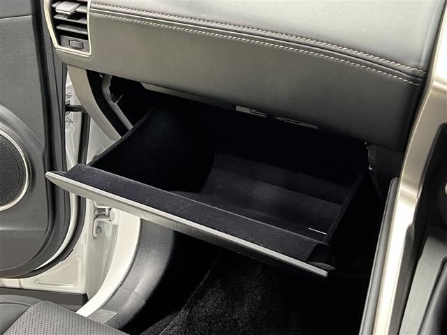 NX NX300h スパイス&シック ドライブレコーダー パノラミックビューモニター ブラインドスポットモニター バックモニター ETC ワンオーナー スマートキ- イモビライザー クルーズコントロール 本革シート 純正アルミホイール(31枚目)