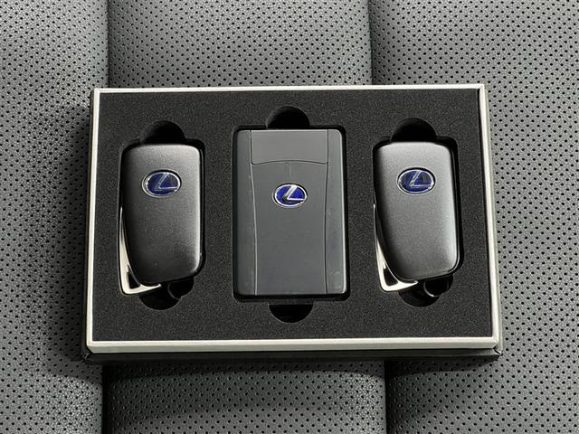 NX NX300h スパイス&シック ドライブレコーダー パノラミックビューモニター ブラインドスポットモニター バックモニター ETC ワンオーナー スマートキ- イモビライザー クルーズコントロール 本革シート 純正アルミホイール(32枚目)