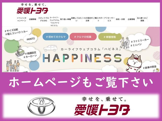 カローラ ハイブリッド ダブルバイビー フルセグ メモリーナビ バックカメラ 衝突被害軽減システム ETC ドラレコ LEDヘッドランプ 記録簿(60枚目)