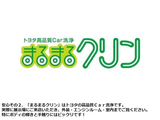 スーパーGL 両側電動スライドドア バックモニター ETC(21枚目)