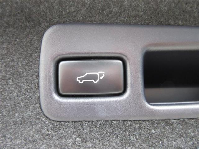 ハリアー プレミアム メタル アンド レザーパッケージ 革シート サンルーフ フルセグ メモリーナビ バックカメラ 衝突被害軽減システム ETC LEDヘッドランプ(20枚目)