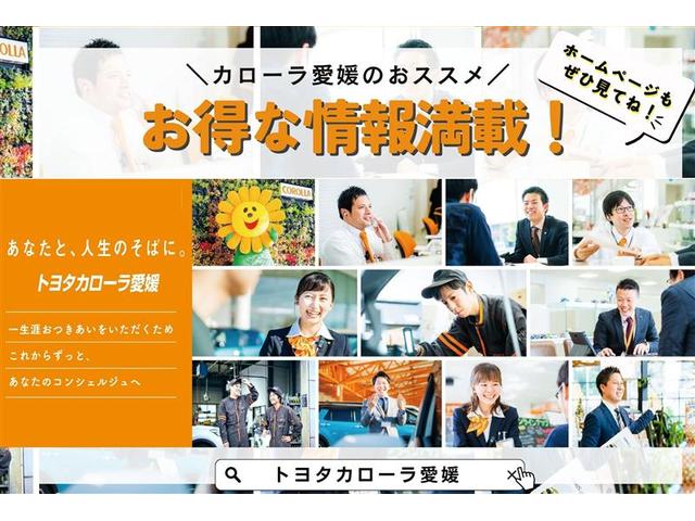 ヴェルファイア ２．５Ｚ　Ｇエディション　バックモニター　Ｔ－Ｃｏｎｎｅｃｔナビ　フルセグ　ＤＶＤ再生装置　ＣＤ再生装置　後席モニター　パワーシート　３列シート　純正アルミホイール　スマートキ－　イモビライザー　クルーズコントロール　ＥＴＣ（33枚目）