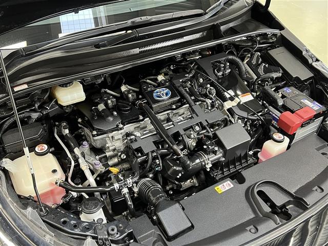 �J�b�v�z���_�[�⏬������ȂǐF�X�ȕ������[�ł��܂��B