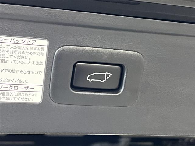 アルファード ３．５エグゼクティブラウンジ　本革シート　純正アルミ　サンルーフ　衝突被害軽減ブレーキ　ペダル踏み間違い急発進抑制装置　デュアル＋サイドエアバッグ　ＡＢＳ　オートエアコン　パワステ　パワーウィンドウ（17枚目）
