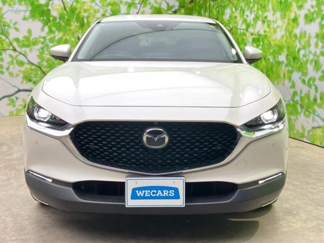 ������̂��Ԃ͂������ł��傤���H�����ł��C�ɂȂ��Ă��������܂����琥�񂨖₢���킹���������I����ɂ��Ԃ̏ڍׂ������肢�����܂��I