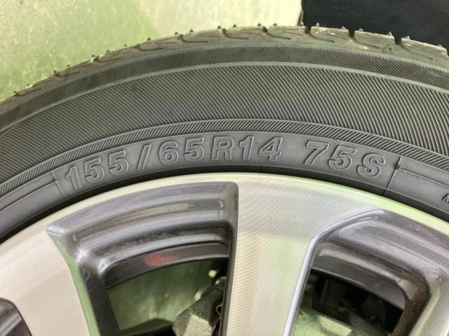 �u���̎Ԃ̎ʐ^�������ƌ������v�u��Ԃ��C�ɂȂ�v�u���̑����͂��Ă���H�v�ǂ�ȏ����ȋ^��ł����C�y�ɂ��₢���킹���������I