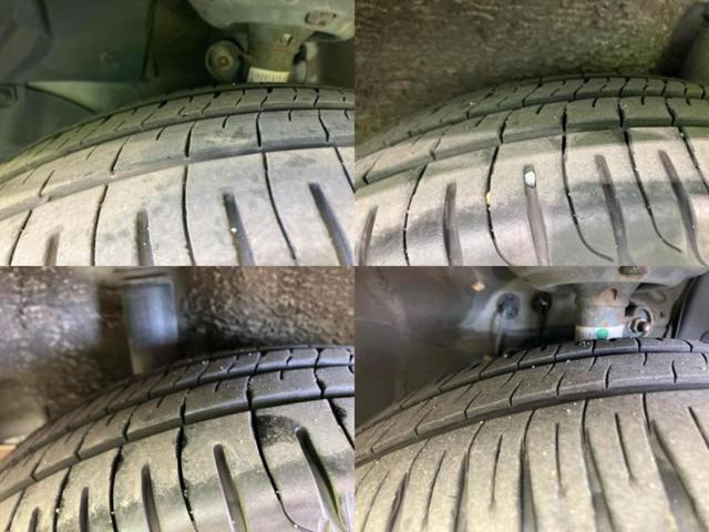 �u���̎Ԃ̎ʐ^�������ƌ������v�u��Ԃ��C�ɂȂ�v�u���̑����͂��Ă���H�v�ǂ�ȏ����ȋ^��ł����C�y�ɂ��₢���킹���������I