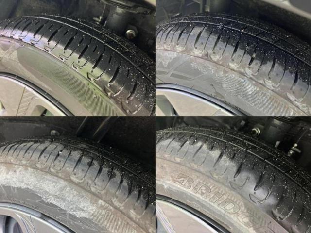 �u���̎Ԃ̎ʐ^�������ƌ������v�u��Ԃ��C�ɂȂ�v�u���̑����͂��Ă���H�v�ǂ�ȏ����ȋ^��ł����C�y�ɂ��₢���킹���������I