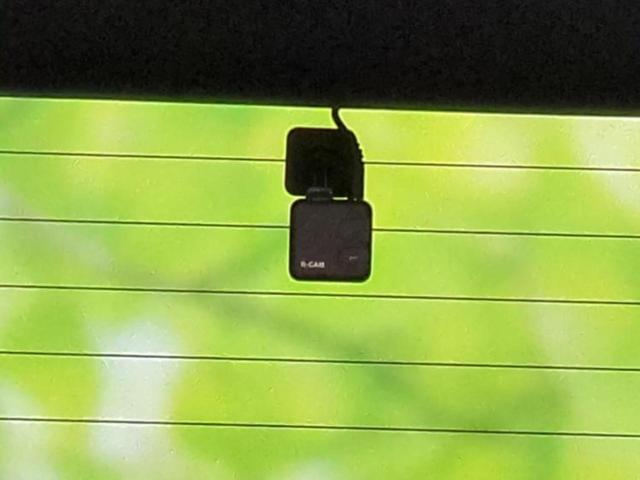 �v�d�b�`�q�r�̓W����ł͎��ۂɌ��āA�G���Ă��Ԃ����I�т��������܂��I�m���̖L�x�ȉc�ƃX�^�b�t���l�X�ȃJ�[���C�t������Ă������܂��I