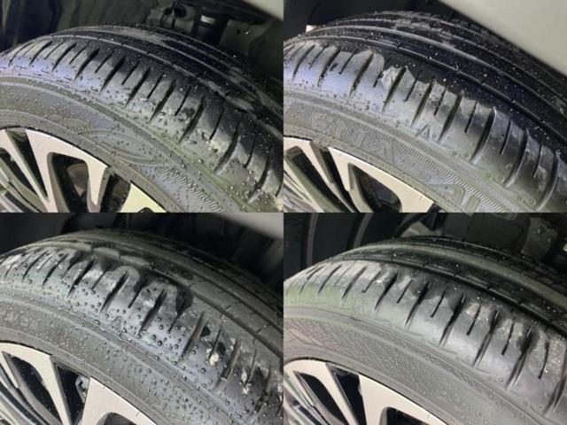 �u���̎Ԃ̎ʐ^�������ƌ������v�u��Ԃ��C�ɂȂ�v�u���̑����͂��Ă���H�v�ǂ�ȏ����ȋ^��ł����C�y�ɂ��₢���킹���������I