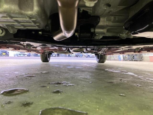 �v�d�b�`�q�r�i�E�B�[�J�[�Y�j�͑S���Q�T�O�X�ܓW�J�I��Ƃ̓s����A�ԗ������������Ȃ��ꍇ���������܂��B���X�O�ɂ��⍇��������