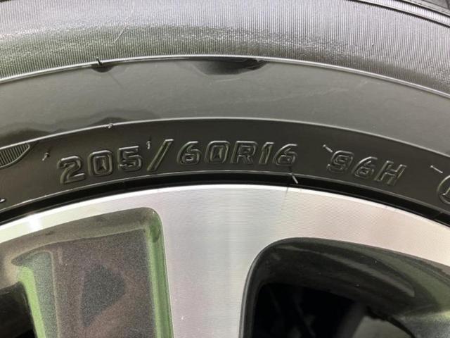 �u���̎Ԃ̎ʐ^�������ƌ������v�u��Ԃ��C�ɂȂ�v�u���̑����͂��Ă���H�v�ǂ�ȏ����ȋ^��ł����C�y�ɂ��₢���킹���������I