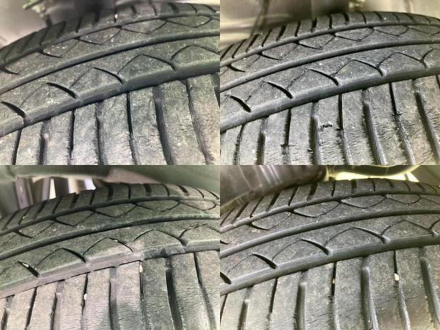 �u���̎Ԃ̎ʐ^�������ƌ������v�u��Ԃ��C�ɂȂ�v�u���̑����͂��Ă���H�v�ǂ�ȏ����ȋ^��ł����C�y�ɂ��₢���킹���������I