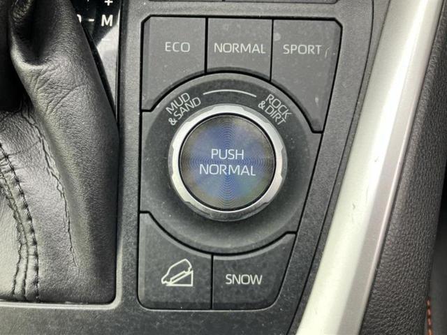 �v�d�b�`�q�r�̓W����ł͎��ۂɌ��āA�G���Ă��Ԃ����I�т��������܂��I�m���̖L�x�ȉc�ƃX�^�b�t���l�X�ȃJ�[���C�t������Ă������܂��I