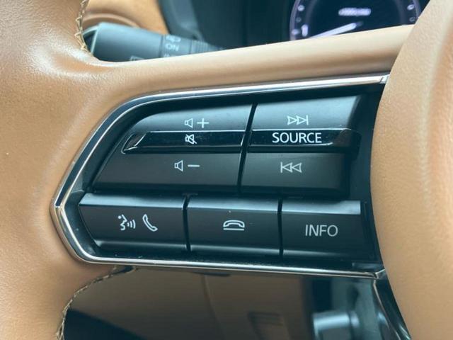 ＣＸ－６０ ４ＷＤ　ＸＤハイブリッドプレミアムスポーツ　サンルーフ／ＢＯＳＥ／純正　１１．６インチ　ＳＤナビ／衝突安全装置／シートエアコン／全方位モニター／車線逸脱防止支援システム／シート　ハーフレザー／電動バックドア／Ｂｌｕｅｔｏｏｔｈ接続／ＥＴＣ（47枚目）