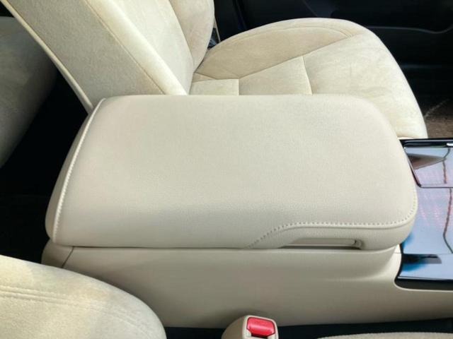 �u���̎Ԃ̎ʐ^�������ƌ������v�u��Ԃ��C�ɂȂ�v�u���̑����͂��Ă���H�v�ǂ�ȏ����ȋ^��ł����C�y�ɂ��₢���킹���������I