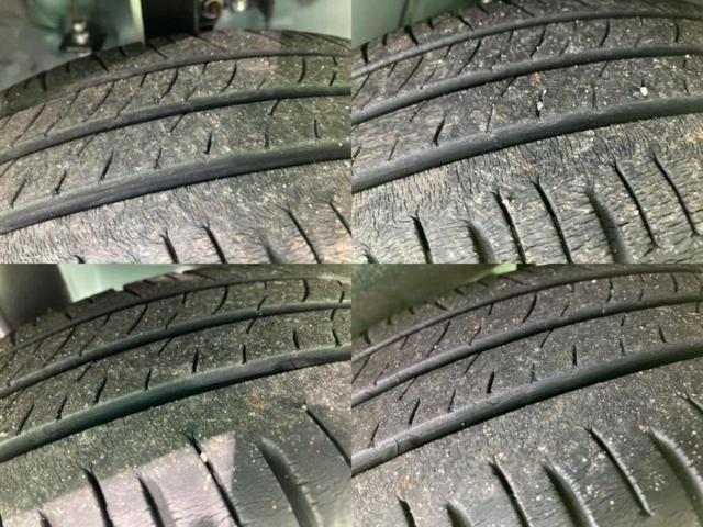 �u���̎Ԃ̎ʐ^�������ƌ������v�u��Ԃ��C�ɂȂ�v�u���̑����͂��Ă���H�v�ǂ�ȏ����ȋ^��ł����C�y�ɂ��₢���킹���������I