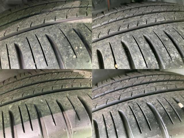 �u���̎Ԃ̎ʐ^�������ƌ������v�u��Ԃ��C�ɂȂ�v�u���̑����͂��Ă���H�v�ǂ�ȏ����ȋ^��ł����C�y�ɂ��₢���킹���������I