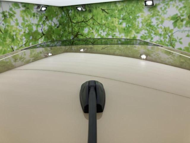 タフト Ｘ　サンルーフ／スマートアシスト（トヨタ・ダイハツ）／車線逸脱防止支援システム／ヘッドランプ　ＬＥＤ／ＥＢＤ付ＡＢＳ／アイドリングストップ／禁煙車／エンジンスタートボタン／キーフリーシステム　盗難防止装置（48枚目）