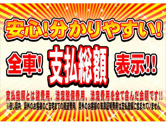 Ｇ・ターボＬパッケージ　両側パワースライドドア　フルセグインターナビ　バックカメラ　ＥＴＣ(23枚目)