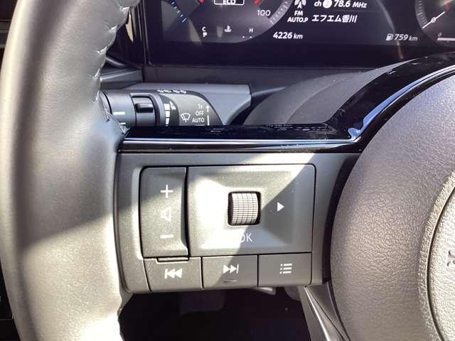 �y�X�e�A�����O�X�C�b�`�z�I�[�f�B�I���삪�ł��܂��B