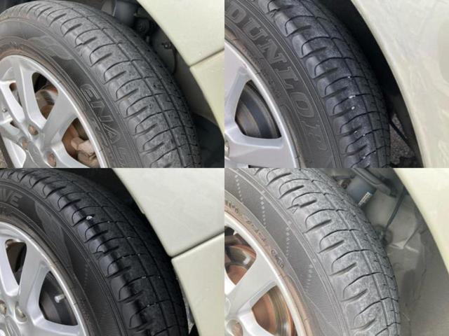 �u���̎Ԃ̎ʐ^�������ƌ������v�u��Ԃ��C�ɂȂ�v�u���̑����͂��Ă���H�v�ǂ�ȏ����ȋ^��ł����C�y�ɂ��₢���킹���������I