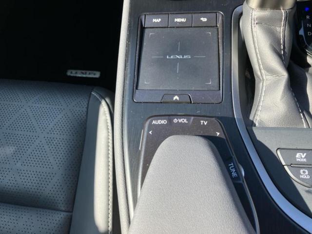 UX UX250hバージョンL 純正 SDナビ/衝突安全装置/シートヒーター/車線逸脱防止支援システム/シート フルレザー/電動バックドア/ヘッドランプ LED/ETC/EBD付ABS/横滑り防止装置/アイドリングストップ 革シート(29枚目)