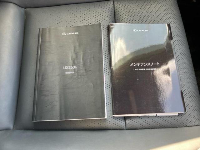 UX UX250hバージョンL 純正 SDナビ/衝突安全装置/シートヒーター/車線逸脱防止支援システム/シート フルレザー/電動バックドア/ヘッドランプ LED/ETC/EBD付ABS/横滑り防止装置/アイドリングストップ 革シート(31枚目)