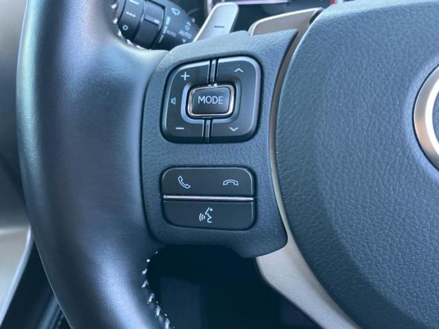 ＮＸ ＮＸ３００Ｉパッケージ　新品タイヤ／保証書／純正　１０インチ　ＳＤナビ／衝突安全装置／シートヒーター　前席／車線逸脱防止支援システム／シート　フルレザー／電動バックドア／ドライブレコーダー　社外／ヘッドランプ　３眼ＬＥＤ（30枚目）