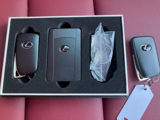 ＮＸ ＮＸ３００Ｉパッケージ　新品タイヤ／保証書／純正　１０インチ　ＳＤナビ／衝突安全装置／シートヒーター　前席／車線逸脱防止支援システム／シート　フルレザー／電動バックドア／ドライブレコーダー　社外／ヘッドランプ　３眼ＬＥＤ（39枚目）