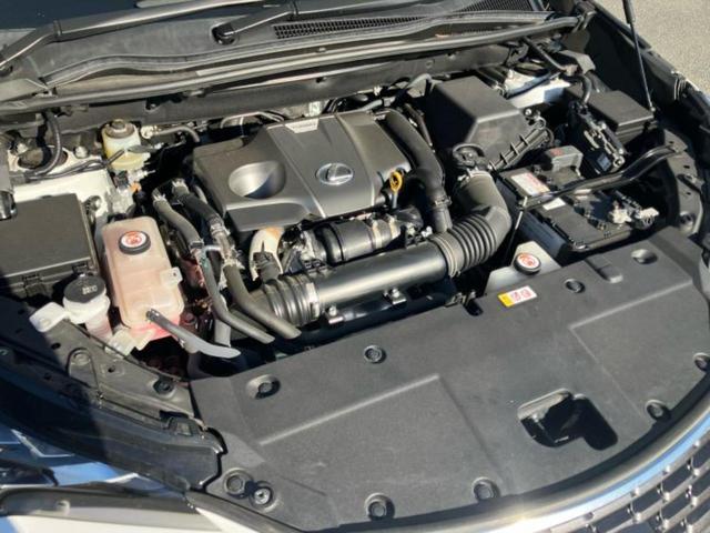 ＮＸ ＮＸ３００Ｉパッケージ　新品タイヤ／保証書／純正　１０インチ　ＳＤナビ／衝突安全装置／シートヒーター　前席／車線逸脱防止支援システム／シート　フルレザー／電動バックドア／ドライブレコーダー　社外／ヘッドランプ　３眼ＬＥＤ（48枚目）