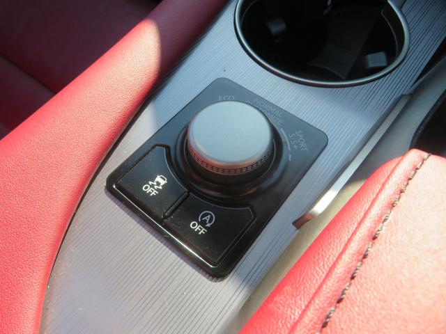 RX RX300 Fスポーツ ワンオーナー サンルーフ 革シート キーレス フルセグ ナビ&TV 20アルミホイール エアバッグ 電動シート オートマ ディーラー車 フル装備 安全装備 助手席エアバッグ サイドエアバッグ ETC(32枚目)