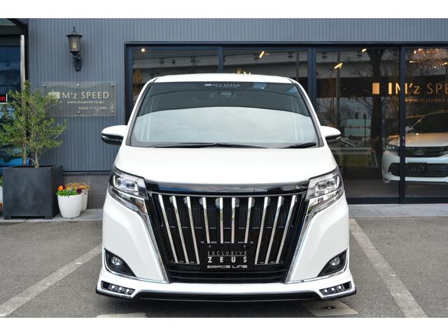 Gi ZEUS新車カスタムコンプリートカー(4枚目)