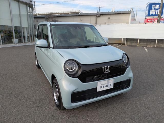 Ｎ－ＯＮＥ オリジナル　ナビ　バックカメラ　ＥＴＣ（36枚目）